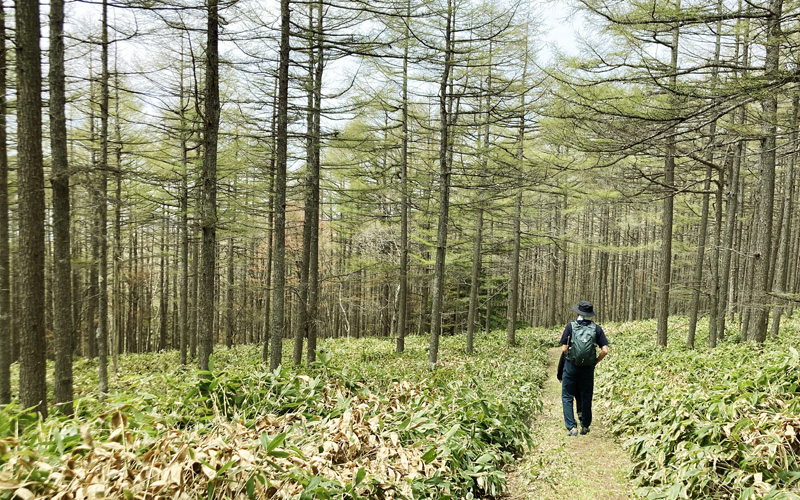長野県東御市 コース調査の様子